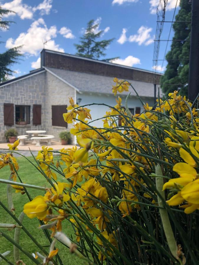 Villa Aurelia - Casa De Campo Con Jardin Y Piscina Entre Madrid Y Segovia Ortigosa del Monte エクステリア 写真